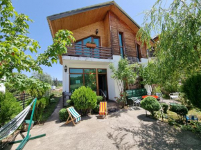 Отель Villa Sun Valley  Бакуриани
